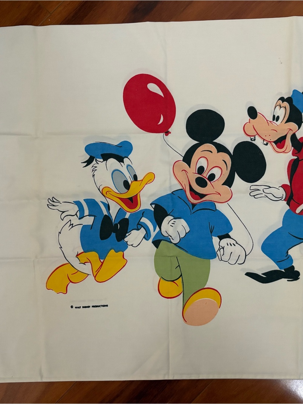 Vintage Disney pillowcases set of 2